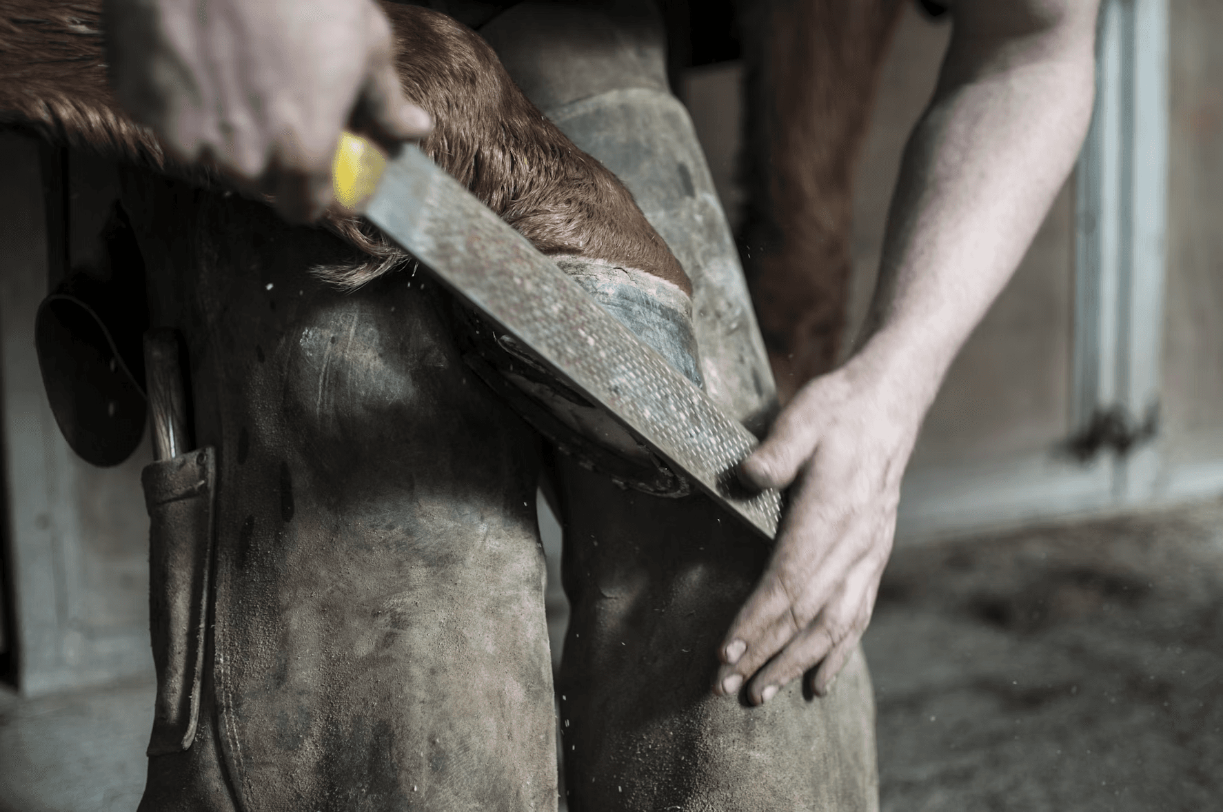 Hoof grinding